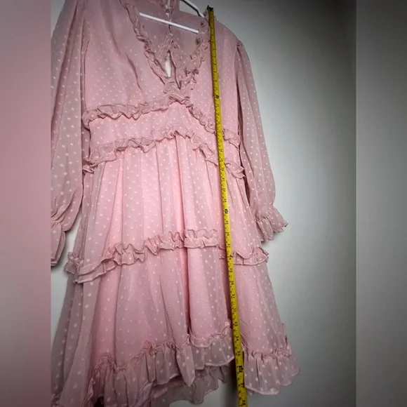 Dusty Pink Swiss Dot Mini Dress with Ruffles – Size Large - Picture 11 of 15